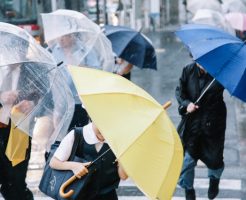 雨が降っていて天気が良くない
