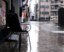 生憎の雨
